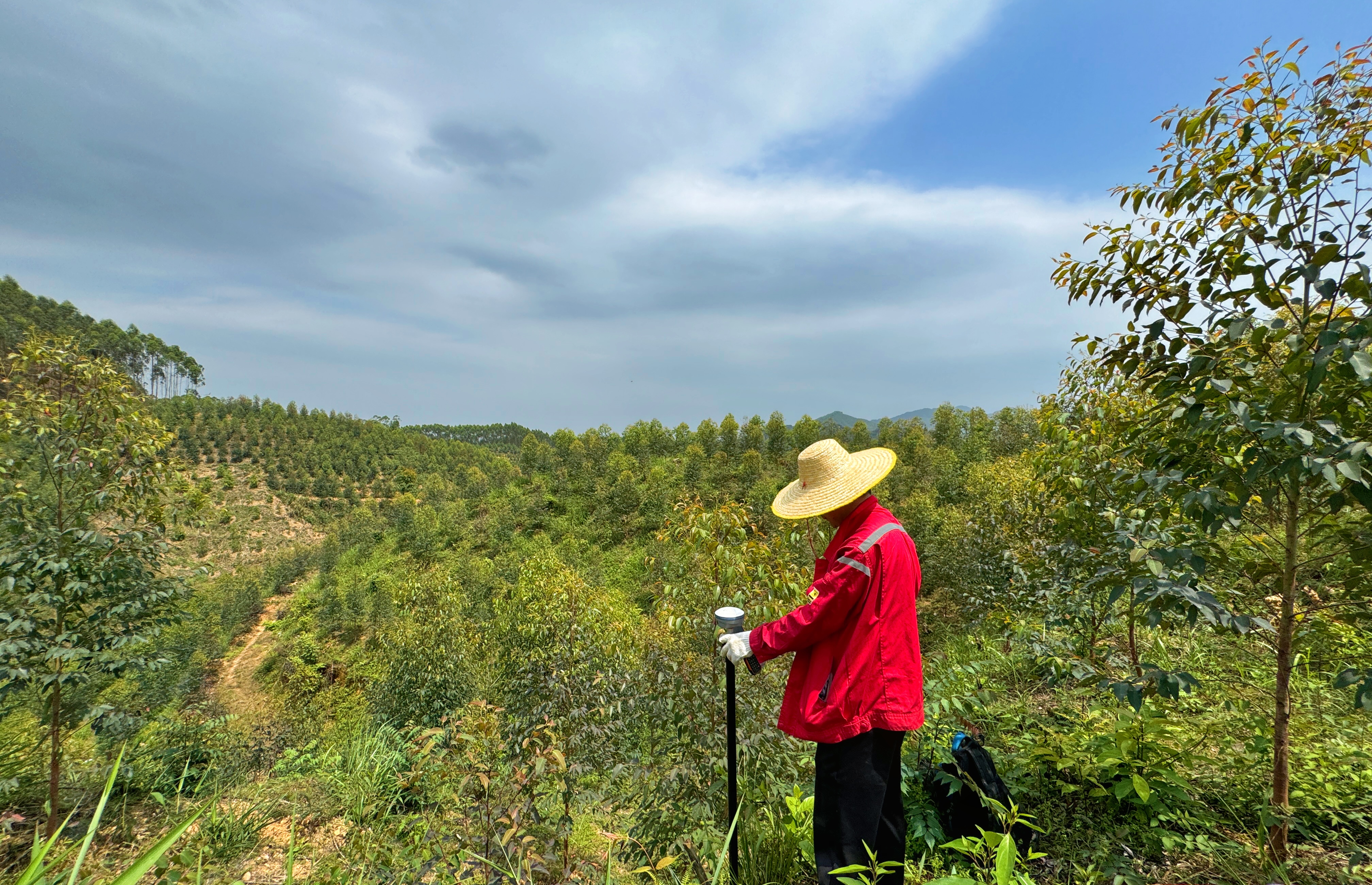 我院擘画藤县能源转型“精准坐标”